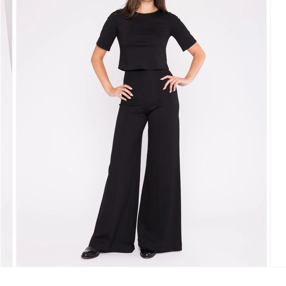 Ripley Rader Pants - Ripley Rader Highwaist Wideleg Ponte Knit Pants Sz 4 Large